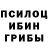 Галлюциногенные грибы прущие грибы Nikolay Mikhalev