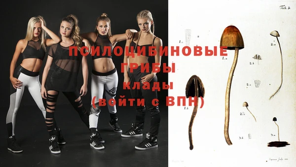 дурь Балахна