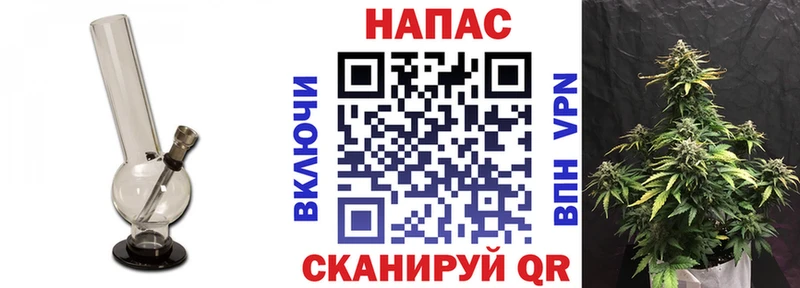 где купить Южа Бошки марихуана сатива